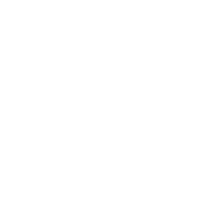 Guidance icon